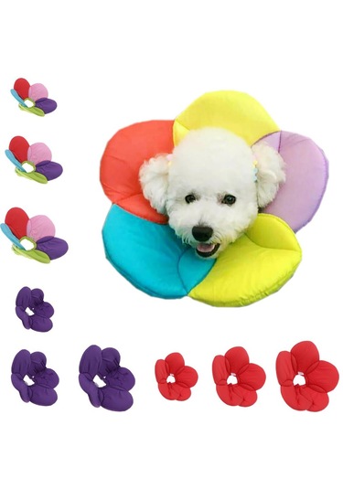 Suntek Köpekler Ve Kediler Için Ayarlanabilir Köpek Tasması