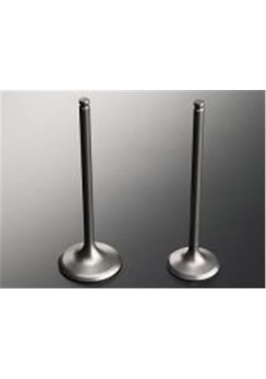 GÜNEŞ 0834-0835 GÜNEŞ SUBAP TAKIMI SAXO 1.5D 8V