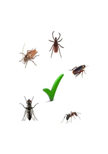 Syngenta Icon 10 CS Genel Haşere İlacı 20 ML