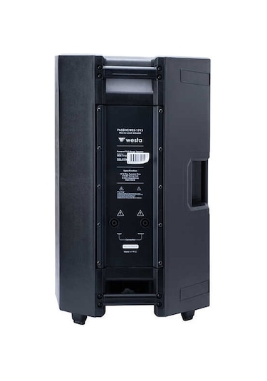Westa Wss-1715 15'' Pasif Hoparlör