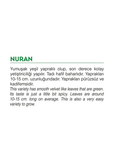 AGRodal Tarım Ata Tohumu Yerli Doğal Roka Nuran 2000 Adet Tohum