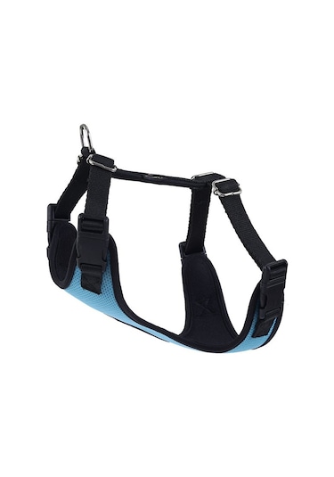 Actirex Neon Cool Köpek Göğüs Tasması Mavi M 45 x 55 CM