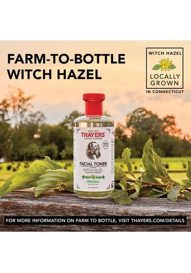 Thayers Original Cadı Fındığı İçerikli Tonik 355 ML