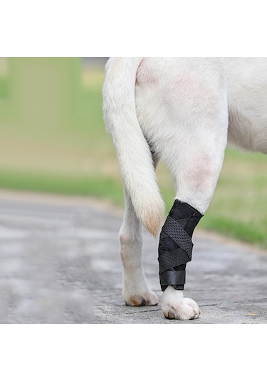 Homyl Artritten Stabilite Kaybı Için Köpek Bacak Brace Destek