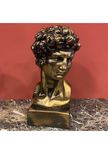 BY ARİ DAVUT BÜST BİBLO HK105-7
