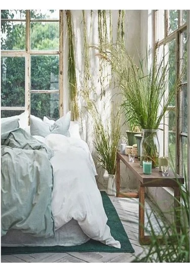 Hedersam Bardakta Çimen Kokulu Mum Açık Yeşil 20 Saat Açık Yeşil