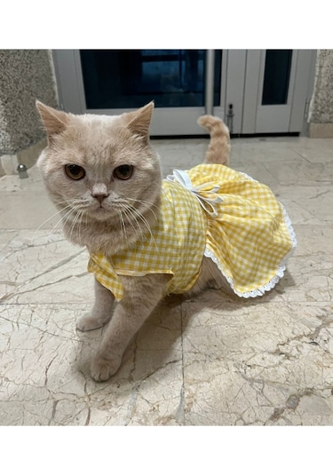 Sarı Beyaz Kareli Fiyonklu Kedi Köpek Kıyafeti Elbisesi Medium/m