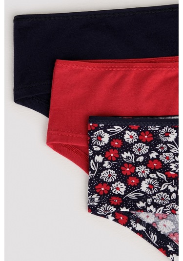 Poppy Flower 3lü Hipster Çok Renkli Külot Çok Renkli