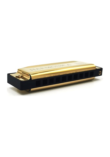 Hermann Mayer Hm10c Gold Harmonica - Domajör Mızıka