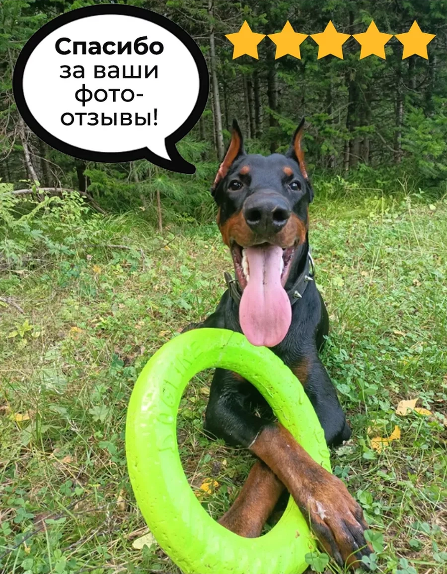 Doglıke Büyük Irklar İçin Köpek Pulley Oyun Yüzüğü 139703122