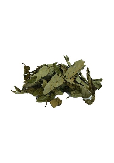 Dvd Lokman Aktar Üvez Yaprağı 20 G