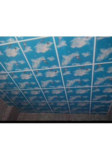 Pvc Asma Tavan 60x60 Panel 7.20 M2 20 Adet 20 Adet