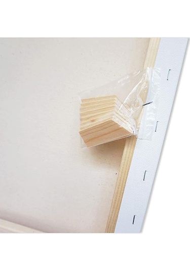 Brons Gerdirme Apartlı Arkadan Zımbalı Tuval 1 Adet 50 x 70 CM