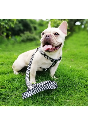 Geeroyoo Ayarlanabilir Poliester Köpek Tasması Ve Koşum Takımı - Siyah Desenli, Orta Boy Siyah