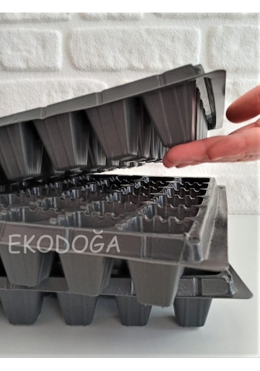 Fide Viyolü 72 Göz 6 Adet Fide Viyol Fide Viyolleri Fidelik