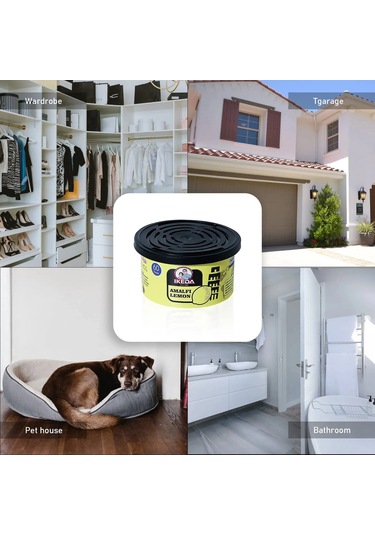 Araba Hava Tazeleyicileri: Limon Kokusu Organik Kutular Koku Giderici Uçucu 1 Coffee Flavor 1 Piece Set