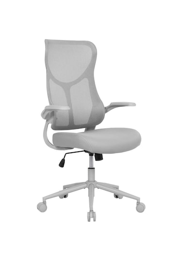 Techno Rest X Ergonomik File Sırtlı Ofis Çalışma Koltuğu Gri Gri