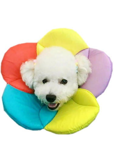 Suntek Köpekler Ve Kediler Için Ayarlanabilir Köpek Tasması