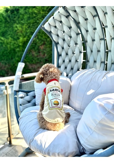 Köpek Atlet Burger Souce Yeni