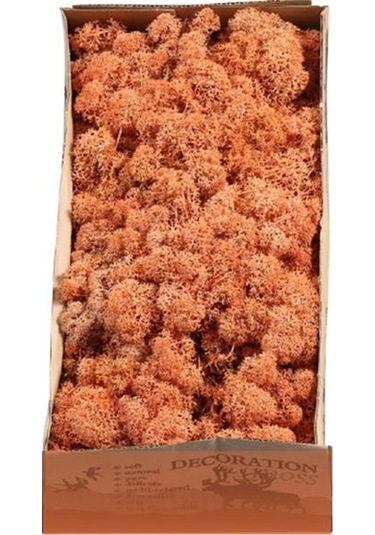 Reindeer Moss Mango Şoklanmış Norveç Yosunu 30gr