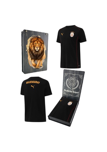 Galatasaray Lisanslı 2024/25 Sıfır Yaka Siyah Antrenman T-shirt Gs Aslan Baskılı Ahşap Kutulu Siyah - Gri