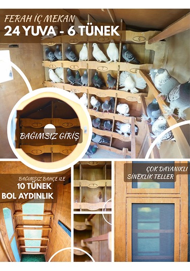 Mandu Ahşap Güvercin Kümesi