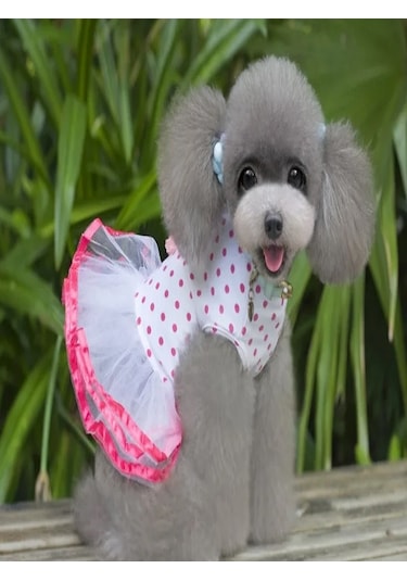 Patici Miss Pembe Çilek Tütülü Kedi Köpek Elbisesi
