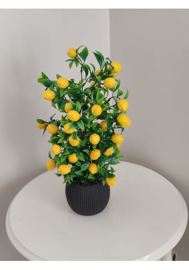 Limon Ağacı Mutfak Süsü 50 Cm Antrasit Saksıda