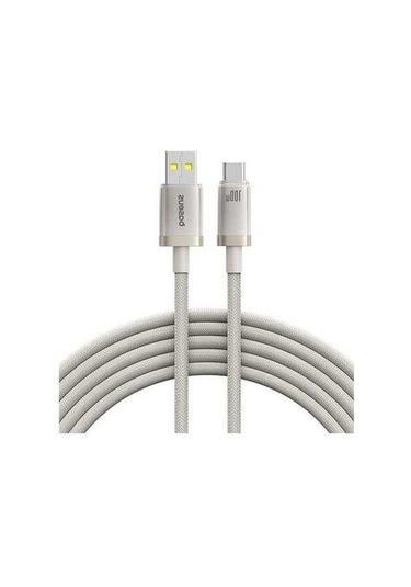 Zyzqstore Pazly 2.0m Usb Type-c Titan Serisi 100w Hızlı Şarj Kablosu - Baseus Kalite