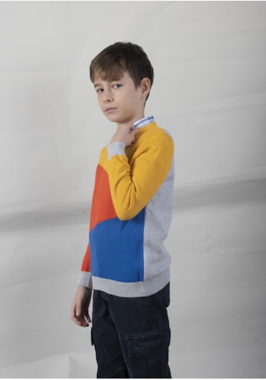 Alexandergardı Desenli Çocuk Triko Kazak C21-18677 01 001