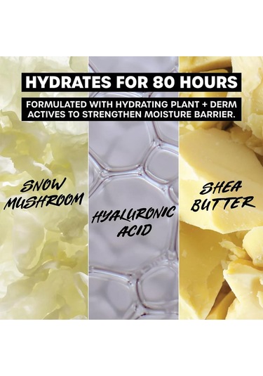 Thayers Soak It Up 80HR Yüz Nemlendirici 75 ML