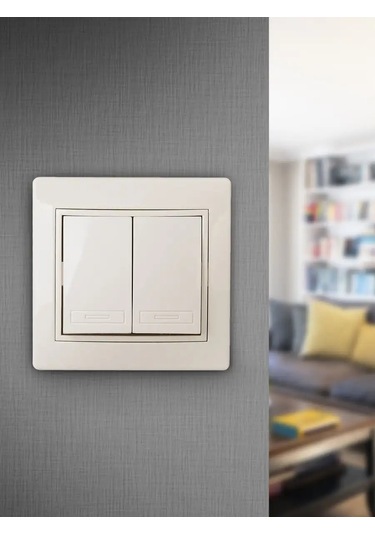 Intro Plano 250v Çift Anahtarlı Anahtar 123659889