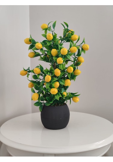 Limon Ağacı Mutfak Süsü 50 Cm Antrasit Saksıda