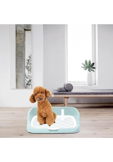 Homyl Yıkanabilir Pet Eğitim Tuvalet Tepsisi Lazımlık Yeşil