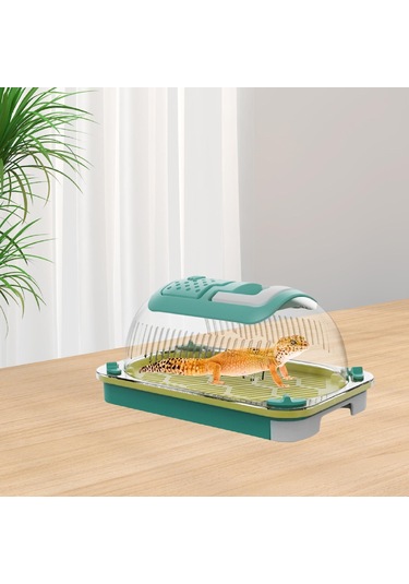 Homyl Terrapin Kaplumbağası Için Sürüngen Teraryumu