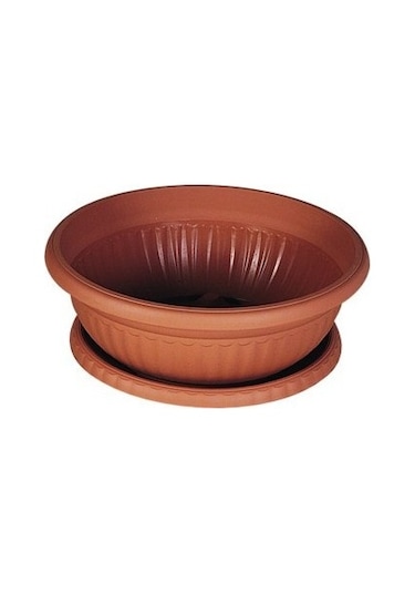 Şenyayla Orta Aranjman Saksı