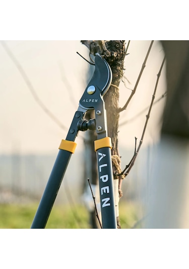 Alpen Lopper Weisshorn 260 Kalın Dal Makası 60 CM