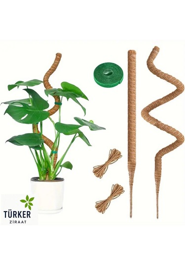 Bitki Tırmanma Braketi Sarmaşık Ve Çiçekler İçin Dayanıklı Destek Aparatı