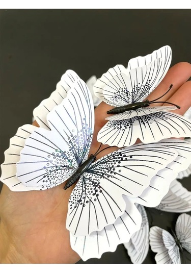 Damani 3byarılgıç Duvar Dekoru İçin Duvar Çıkartmaları 152180743 Siyah