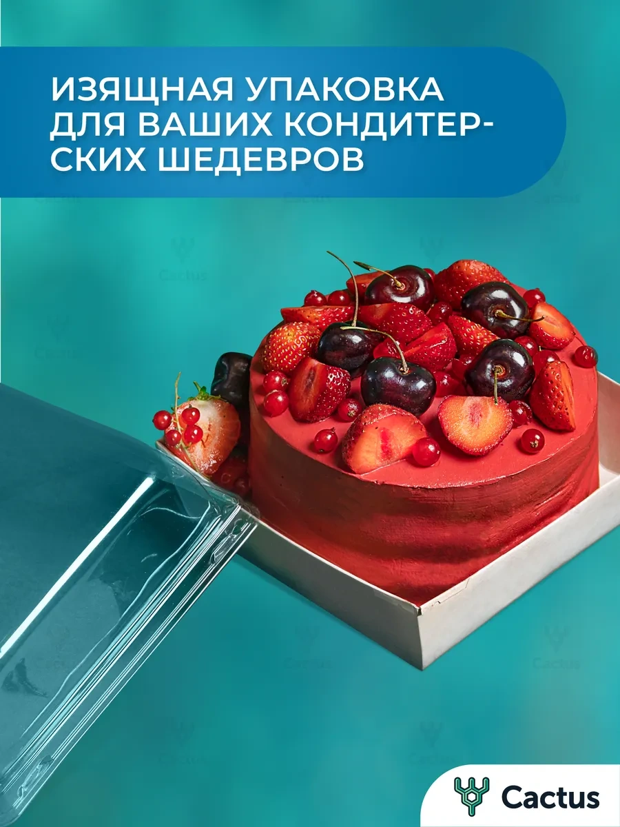 Cactus Bento Kutu 900 Ml 14 Cm Pasta Kutusu 296721028 100 adet