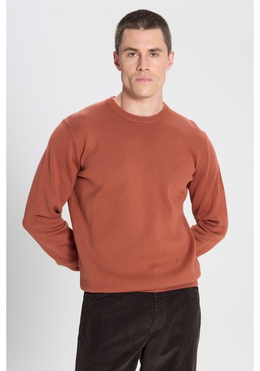 Regular Fit Normal Kesim Kahverengi Triko Kazak W242724220 Kahverengi