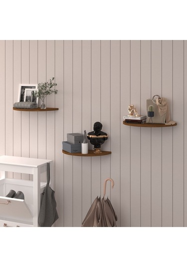 Doğal Modern Organizer Düzenleyici 3'lü Oval Dekoratif Kitaplık Banyo Mutfak Duvar Rafı Ceviz