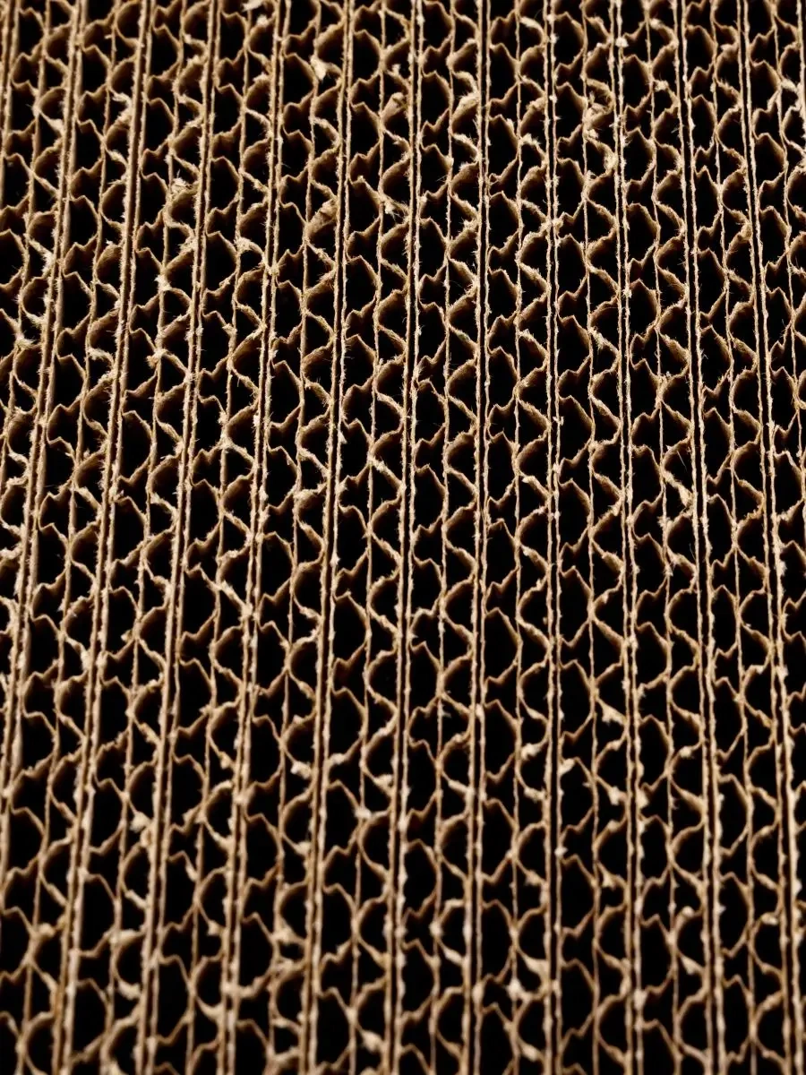 Kogtedralka Kedi Tırmalama Taşı Kartondan, 24/50/3 Cm 28694453