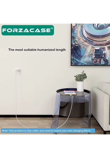 Forzacase FC969 100 W Type-C To Type-C PD Şarj Data Kablosu Beyaz 5M