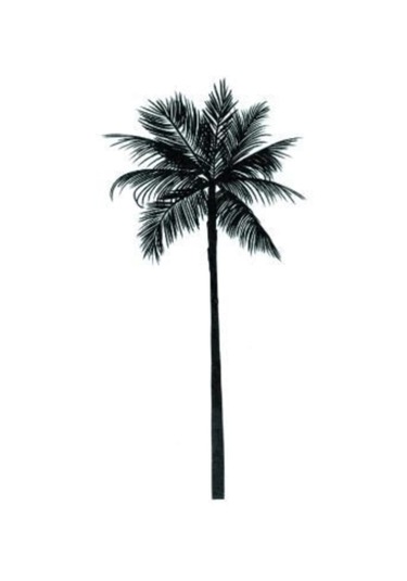 Geçici Dövme Hindistan Cevizi Ağacı Palmiye Ağaç Su Geçirmez Geçici Ufak El Kol Dövmesi Tattoo