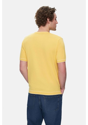 Fared Sarı Bisiklet Yaka Triko Nakışlı Standard Fit Erkek Tshirt Sarı