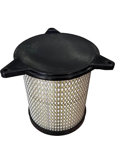 Rks R250 Hava Filtre Elamanı - 2334
