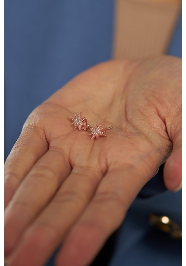 Zirkon Taşlı Rose Kutup Yıldızı Çivili Gümüş Küpe Gümüş