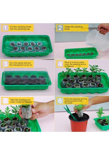 Symbee Yeşil 9 Lü Tohum Fide Kabı, Ev Bahçesi İçin Yüksek Çimlenme Oranı, Tohumluk Fide Tepsisi