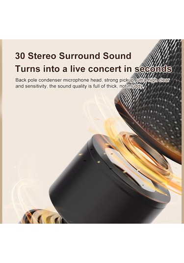 Geeroyoo Retro Taşınabilir Şarkı Söyleme Hoparlörü, Çift Mikrofonlu, Beyaz Renk, Bluetooth 5.3, Sd Kart Ve Aux Girişi